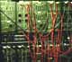 Roland system100M Doris Norton Lab.gif